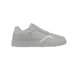 Dior B27 Low Gray